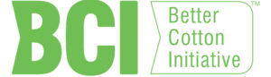 BCI Logo_web